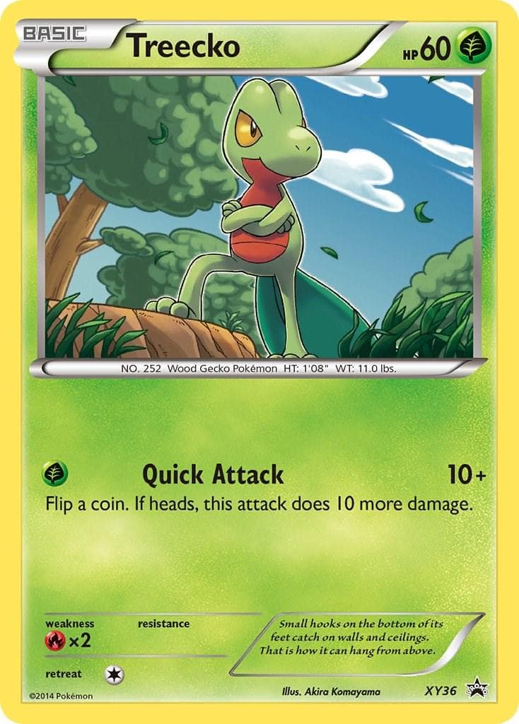 Treecko #XY36